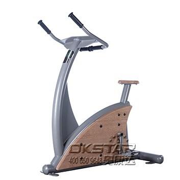 China outdoor wooden fitness equipment--WPC body strong fitness equipment outdoor gym exercise bike for sale