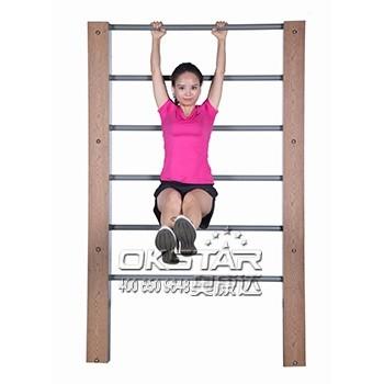 China outdoor exercise equipments WPC materials based wall bars gymnastic bars for sale for sale