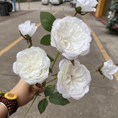 China China Durable Artificial Rose Flower Wholesale 7 Austin Rose For Wedding Main White for sale