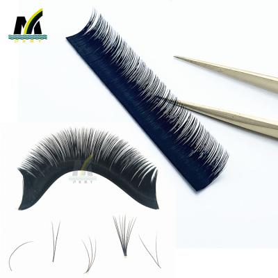 China Natural Eyelash Extension Supplies Cost Effective Wholesale Easy Fanning Private Label for sale