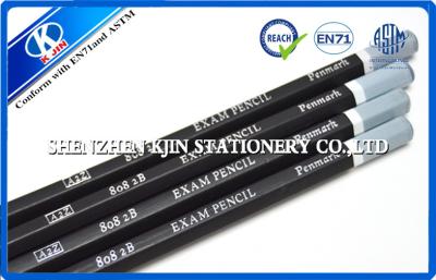 China Painter 2B Sketching Pencil Set High Grade Basswood Pencil With Top for sale