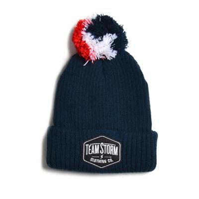 China COMMON Custom Size Winter Hats Pom Pom Pom Beanies With Custom Embroidery for sale