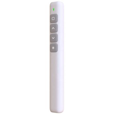 China Remer LZ-B3 2.4GHz Wireless Presenter Remote Control Laser Pointer Clicker Flip Laser Pen USB PowerPoint PPT Pagination for sale