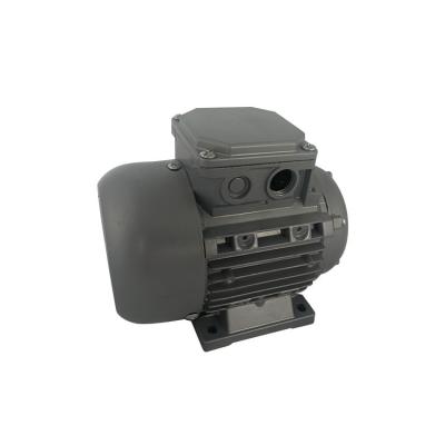 China Best Choice 240v AC Pump Motor With Speed ​​1350 Rpm YS5024C Single Phase AC Motor for sale