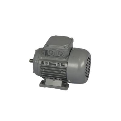 China Single phase high speed rmp asynchronous electric 1350 ac motor for water pump YS5024B for sale