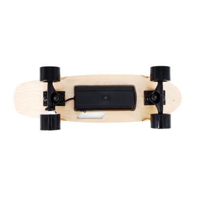 China Best Selling Adult Fashion Small Fish e Skateboard 350w Hub Motor 4 Wheels Backfire Electric Skateboard for sale