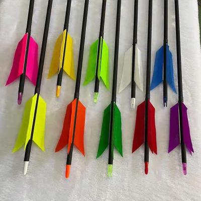 China Shooting 12 branch feather carbon arrows with 500 travel, and the tail can be changed to multi-color arrow rods for sale