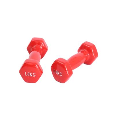 China Universal Best Selling Colorful Fashion Vinyl Dumbbell For Sale for sale