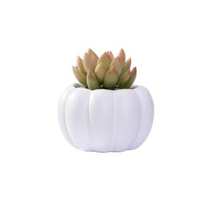 China Modern Matte Mini Pumpkin Ceramic Flower Pot On Desk for sale