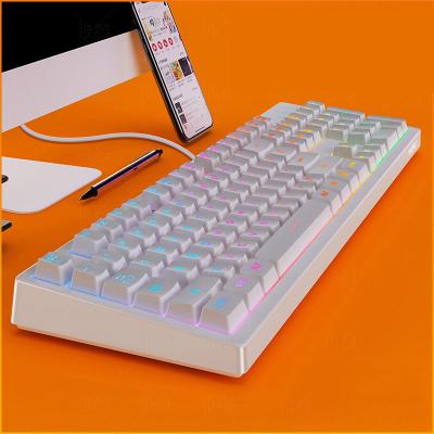 China True Wireless Mechanical Axis Shining Light Weight Keyboards For Desktop RGB Mechanical Keyboard for sale