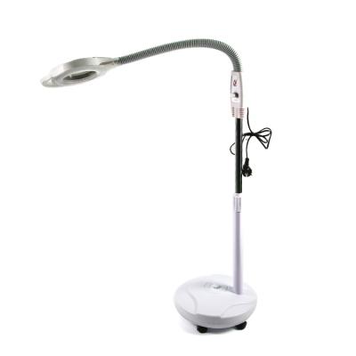 China Beauty Adjustable Therapy Nail Magnifying Lamp, Magnifying Lamp For Sale, Magnifying Lamp On Wheels for sale