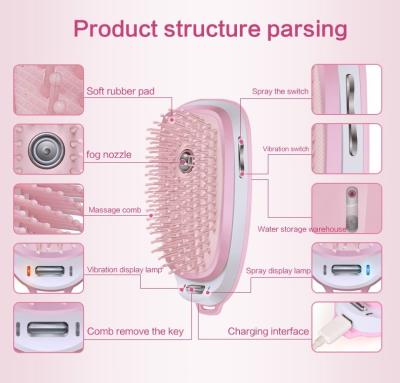 China Lonic Professional Portable Electric Custom Hair Brush Hair Comb for sale