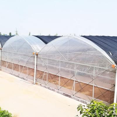 China Stable structure easily assembled 2021 hot sale greenhouse structure pipe galvanized steel pipe for greenhouse for sale