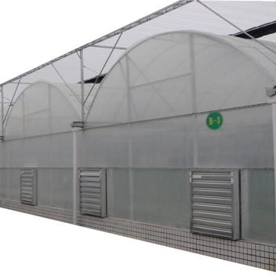 China Stable Farm Structure Low Cost Greenhouse Agricultural Structure for sale