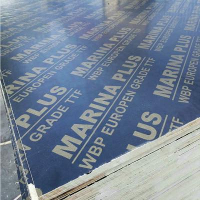 China 18mm Thickness Contemporary Melamine Faced Both Sides Shuttering Plywood For Building for sale