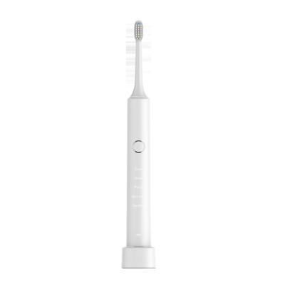 China Four Minutes One Day OEM IPX7 High Quality Private Label Cleaner 2022 New Product Fashion Youth Teeth Electric Toothbrush With Travel Object for sale