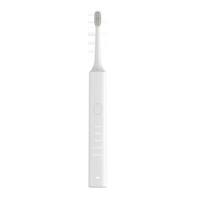 China Four Minutes One Day 2022 OEM Private Label Teeth Manufacturer Hot Selling IPX7 Electric Toothbrush With Travel Case for sale