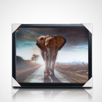 China Worldwide 0.6mm PET 3D Material Lenticular Image 3D Promotional Image 75LPI for sale