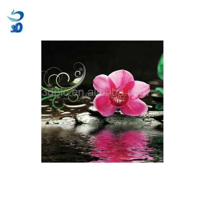 China Environmental Materials Custom Lenticular Poster 3d Hologram Image Printing for sale