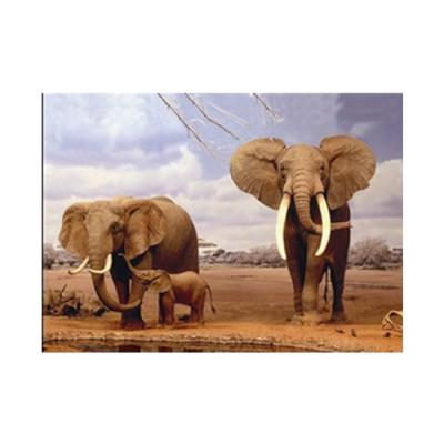 China 3D elephant 3d image hot sale new arrival 3d animal lenticular image for sale