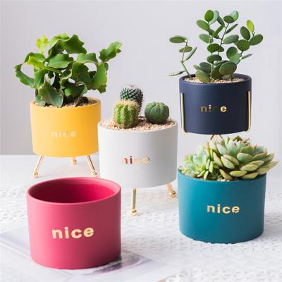 China Modern Hot Selling Succulent Planter Pot Small Ceramic Plant Flower Pots For Indoor Plants for sale