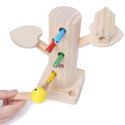 China Modern Design Wholesale Educational Wooden Toys Game Learning Magnetic Woodpecker Insect Game Worm Catching Wooden Toys for sale