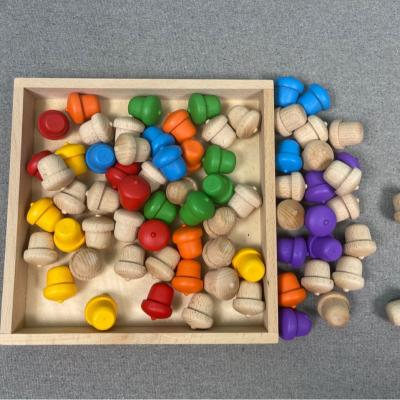 China Educational DIY Toys Moral Wooden Educational Toy and Montessori Eco-Friendly Sorting Game Learn Colors Count Nut with Tray for sale