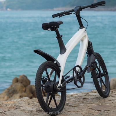 China Aluminum Alloy Lehe Lithium S1 E-Bike Battery Case Mountain E-Bike for sale