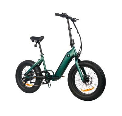 China Economy Fat Tire E-Bike Lehe S10 Electric Bicycle 20