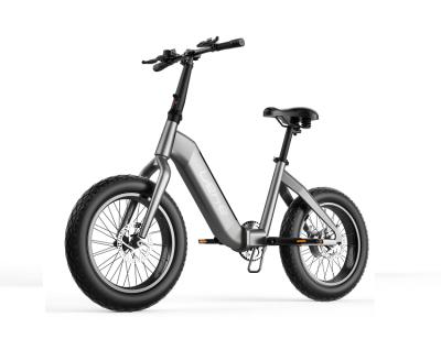 China Economic Fat Tire E-Bike 20