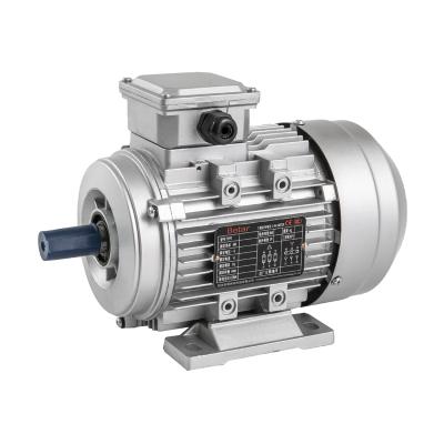 China Insulation Y2 Series Three Phase Electric Brushless Synchronous Gearbox Automatic Gearbox Motor for sale