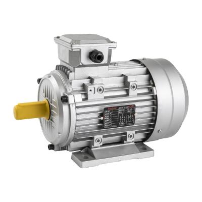 China Insulation Durable Using Insulation Three Phase Asynchronous AC 3 Phase Motor for sale