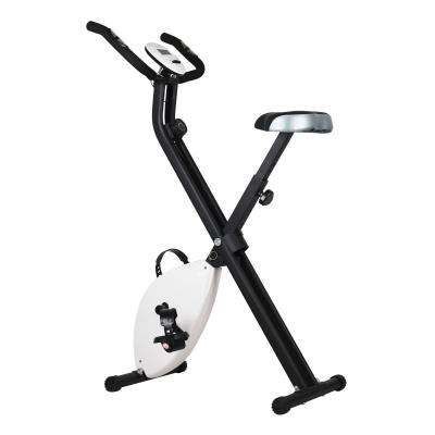 China Home Sport Home Use Physical Dynamic Magnetic Lightweight Exercise Bike Fittenss Equipment for sale