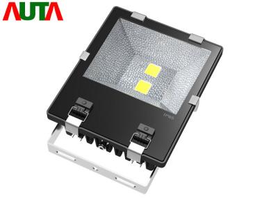 China Eficacia alta al aire libre comercial negra de los reflectores 100W del LED con el microprocesador de Bridgelux en venta