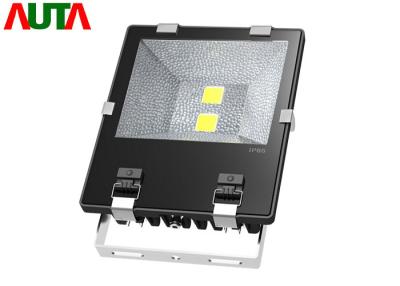 China High CRI Residential 120 Watt LED Flood Light Meanwell Driver for sale