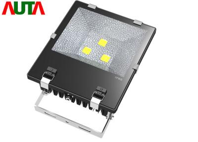 China AC90V - 295V Outdoor LED Floodlight  , LED Security Flood Light for sale