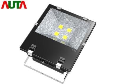 China High Output Industrial Outdoor LED Floodlight Projects Energy Saving for sale