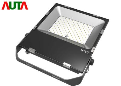 China COB Super Bright Outdoor LED Floodlight , High Power LED Flood Light 100W for sale