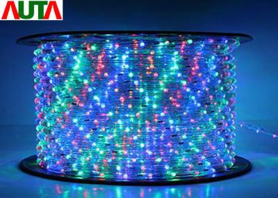 China 36 LEDs / M Valentine Neon LED Rope Lights Warm White Environmental Protection for sale