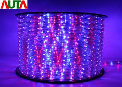 China 12V / 24V Custom Multi Color LED Rope Lights Indoor 3 Cables Sanan Chip for sale