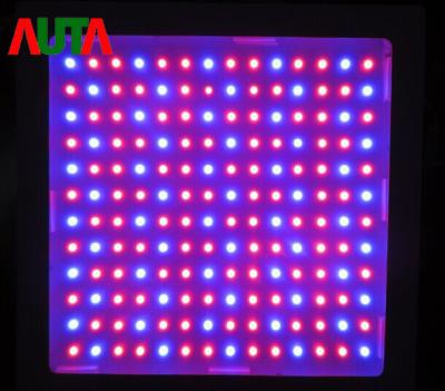 China Squiry High Luminus LED Aquarium Lighting 28W Plant Glow Light for sale