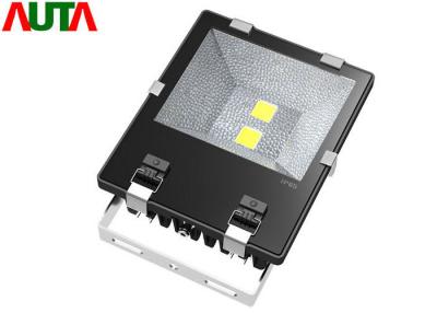 China 3000mA 100 W Led Security Floodlight , High Efficiency Cob Led Flood Lamp for sale