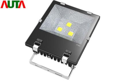 China Safety Led Indoor Flood Lights Portable Super Bright 100V - 240V AC for sale