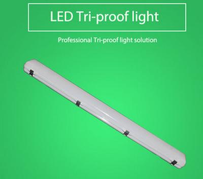 China 1200mm 60w LED Aquarium Lighting , T8 Vapor Tight Led Linear Fixtures for sale