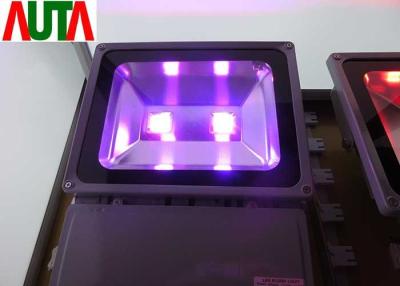 China 5 Year Warranty RGB LED Flood Light 50 W with Remote Control for sale