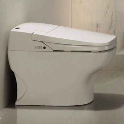 China Automatic Operation 5003 Ceramic Sanitary Ware One Piece Smart Electric Smart Toilet for sale