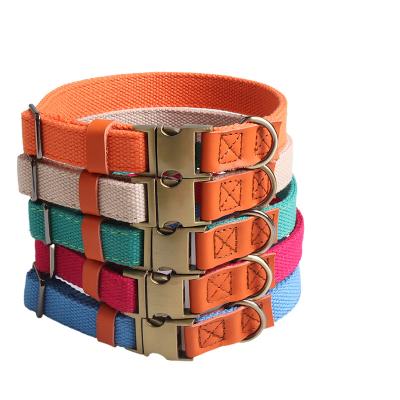 China New Design DETACHED Amigo Personalized Small Medium Large Dog Collar Pet Breathable Adjustable Luxury Metal Buckle Collar Colors Multi for sale