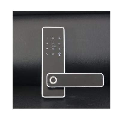 China Aluminum Alloy WATCHING Fingerprint Smart Lock Silver Key Key Lock for sale