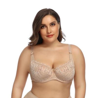 China Custom Made Sexy Busty Bra Breathable Plus Size LacePlus Size Bras For Women Ladies Big Bra for sale