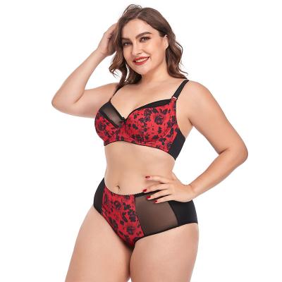 China Floral Printed Breathable Mesh Women Bra And Underwear sets plus size bra and panties sets sexy plus size bra sets for sale